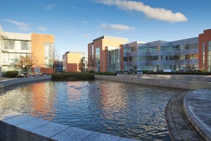Commercial Property for Rent in Dubline
